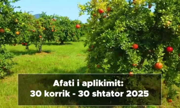 Hapen aplikimet për Skemën Kombëtare të Investimeve. Fermerët, 9 masat mbështetëse