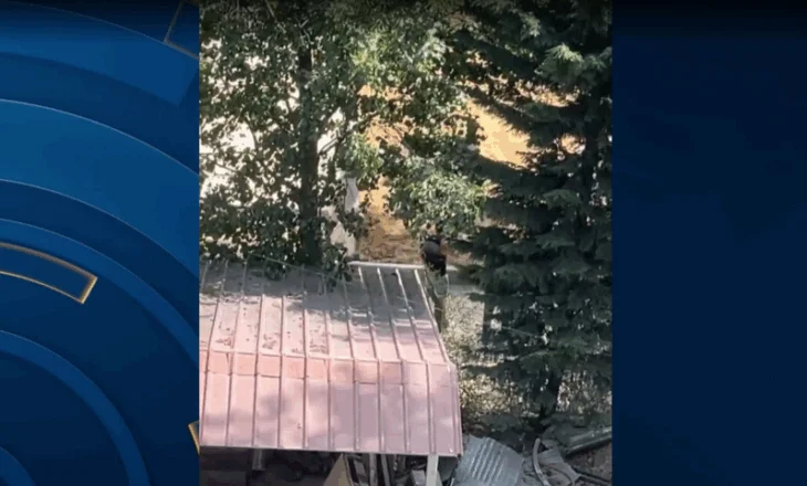 I kërkoi të lirojë hapësirat e zaptuara në parkun e Drilonit, “i forti” i Pogradecit dhunon kryeplakun