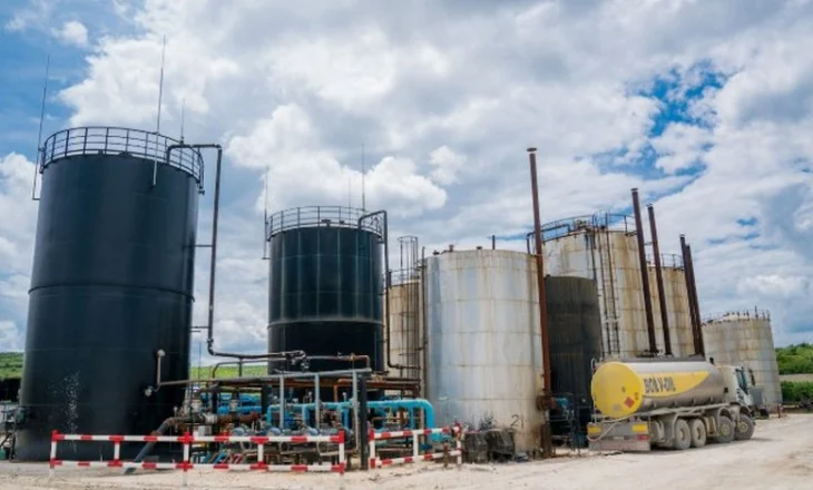 I shkaktuan miliona euro dëm shtetit, Gjykata e Fierit lë në burg CEO-n dhe ish-administratorin e “Bankers Petroleum”