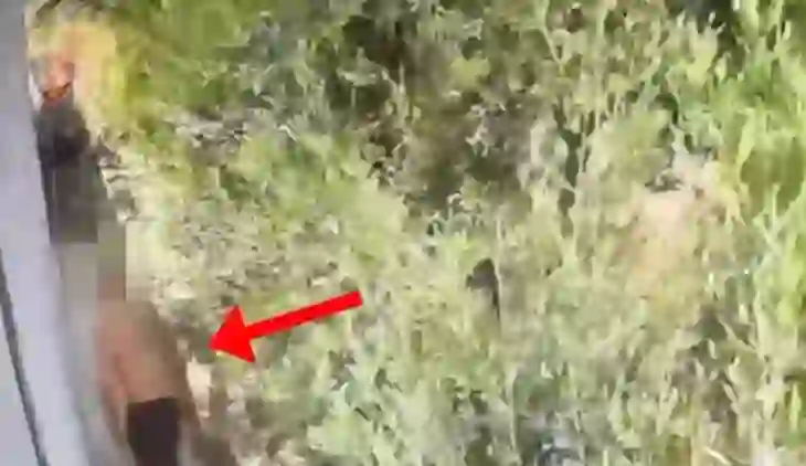 I vuri zjarrin banesës së hallës së tij, arrestohet 24-vjeçari në Vlorë