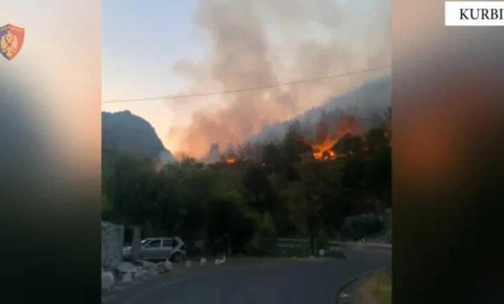 I vuri zjarrin tokës qëllimisht, shkak konfliktet me banorët/ Kurbin, kapet dhe procedohet 72 vjeçari (Emri)