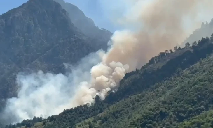 Kërkohet ndërhyrje nga ajri, zjarri në Dukat rrezikon Parkun Kombëtar të Llogarasë