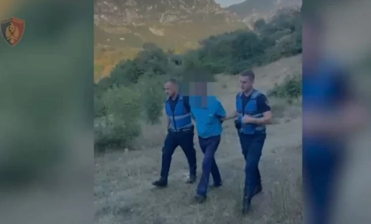Kishin mbjellë kanabis në mes të fushës, dy të arrestuar në Krujë