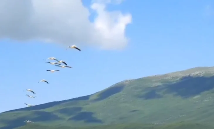 Korçë, “hiking” në modë! Ecjet malore dhe turizmi i aventurës gjithnjë e më të preferuara nga banorët dhe vizitorët