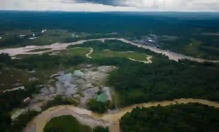 ‘Krime kundër natyrës dhe njerëzve’: Si u zhvillua goditja globale në Amazonë me 94 të arrestuar