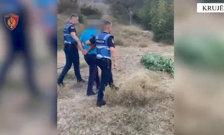Krujë/ Kultivonin bimë narkotike në fshatrat Krastë dhe Brret, 2 në pranga