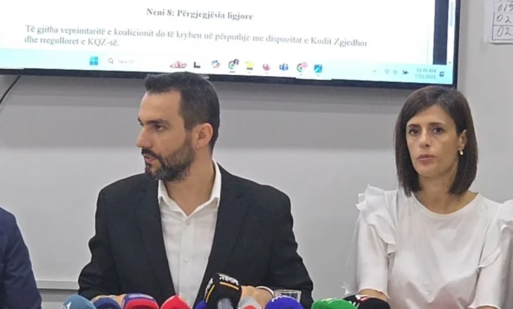 Lapaj distancohet: Për fondet të hetojë drejtësia, “Nisma Thurje” ka paguar vetëm mitingun e Vlorës