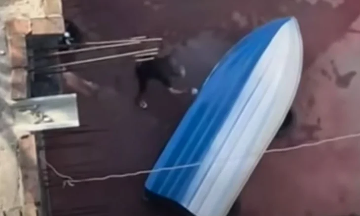 Leu varkën me bojë në mes të Tiranës, Rama: Do të kemi një pako speciale ligjore për këtë soj dhunuesish