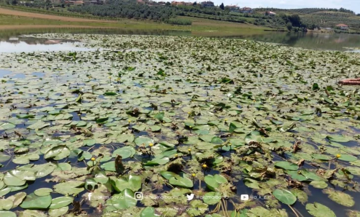 Liqeni i Seferanit, pasqyrë e natyrës dhe kujtesës në zemër të Belshit, ku na çon adhurimi ynë i të bukurës