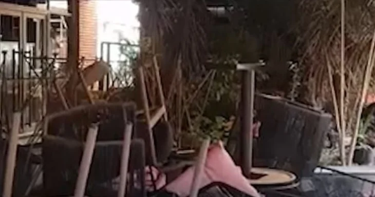 Lokalet mbyllen, karriget zhduken! Urdhri i Ramës ‘shkretëzon’ Pallatin me Shigjeta
