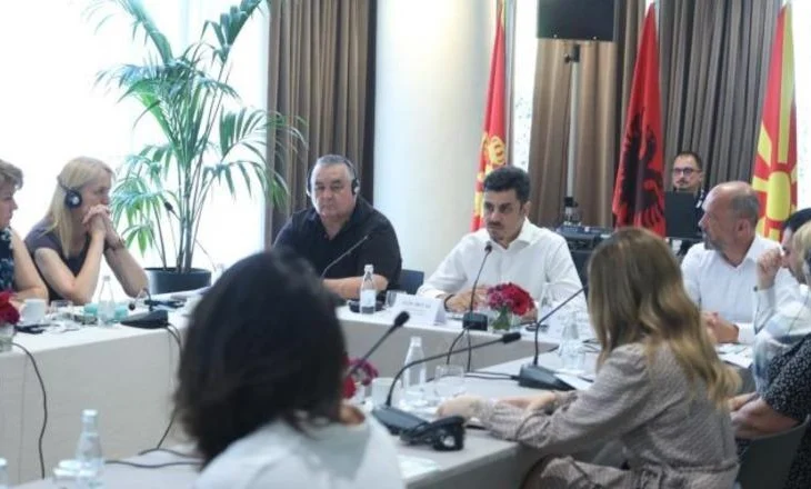 Lufta kundër informalitetit në tregun e punës/ Shqipëria, Maqedonia e Veriut dhe Mali i Zi me nismë të përbashkët