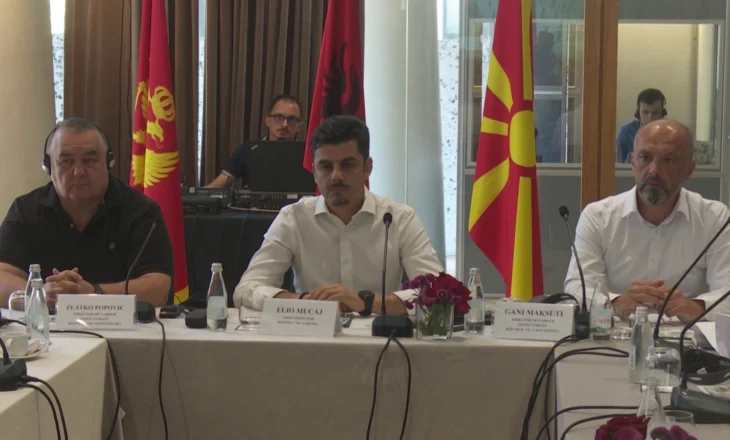 Lufta kundër informalitetit, Shqipëria marrëveshje me Malin e Zi dhe Maqedoninë e Veriut për kontrollin e fuqisë punëtore