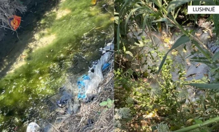 Lushnjë/ Ndoti ujërat në kanalin e fshatit, nën hetim pronari italian i fabrikës së përpunimit të peshkut