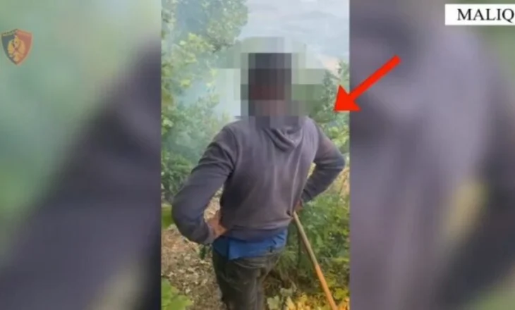 Maliq/ Ndezi zjarr për hapje kullotash, përfundon në pranga arrestohet 26-vjeçari