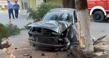 Me shpejtësi skëterrë, automjeti përplaset me pemën! Plagoset rëndë shoferi në Maliq