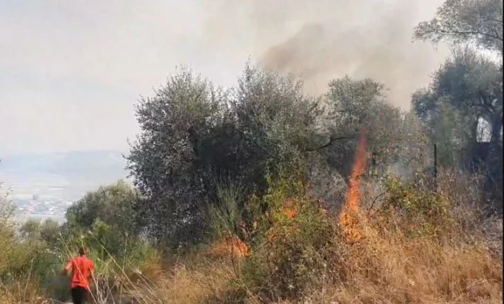 Ministria e Mbrojtjes: Gjatë 24 orëve të fundit janë raportuar 21 vatra zjarri, 4 ende aktive