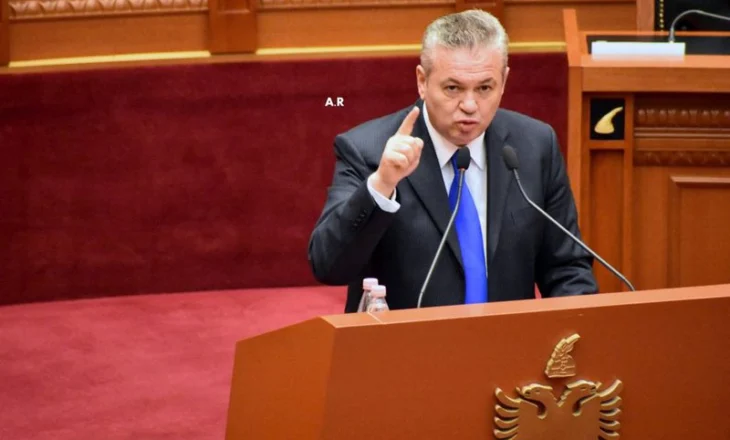 Murrizi për krerët e PD: Delirantët që bëjnë ciu-ciu e mjau-mjau në Facebook, kurse në mbledhje rrinë si të dh*erë
