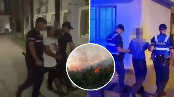 Ndezën zjarre që dogjën Shqipërinë, policia arreston apo procedon 12 persona në 72 orë