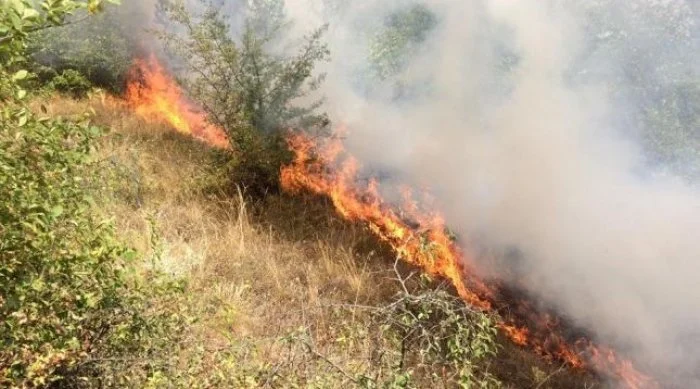Ndezi zjarr afër banesës, nën hetim gruaja nga Memaliaj