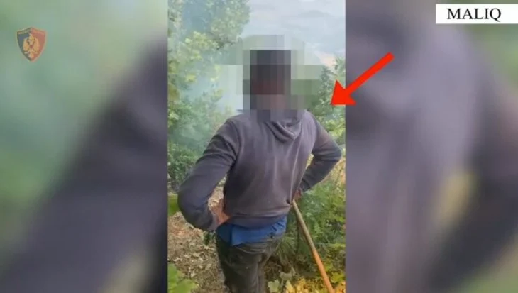 Ndezi zjarr për hapje kullotash, përfundon në pranga arrestohet 26-vjeçari në Maliq