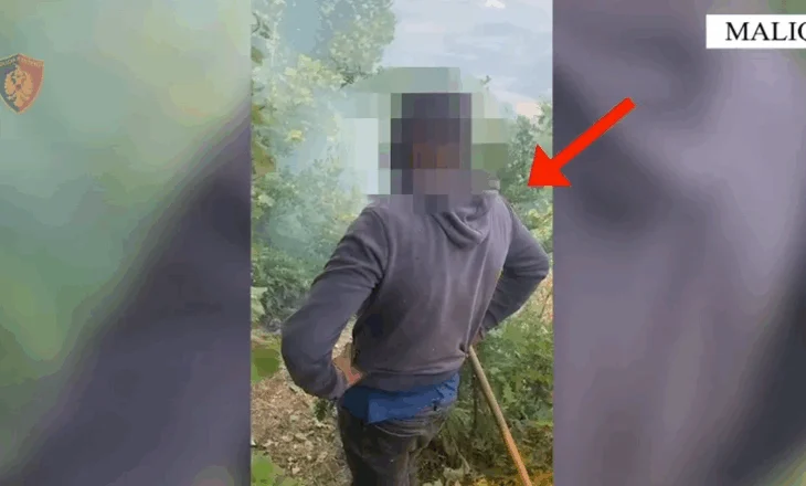 Ndezi zjarr për të hapur kullota të reja, përfundon në pranga arrestohet 26-vjeçari në Maliq