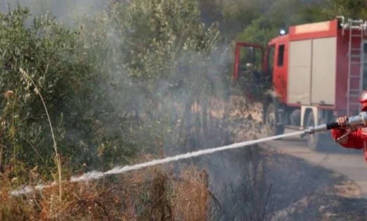 Ndezi zjarr për të pastruar kullotën duke djegur tokë dhe bagëti/ Konispol, procedohet 70 vjeçari