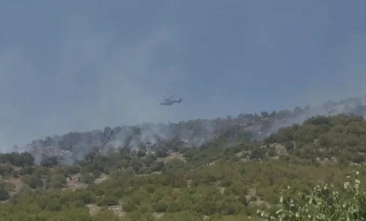 Neutralizohen flakët në zonën e Shpiragut dhe Kuçovës