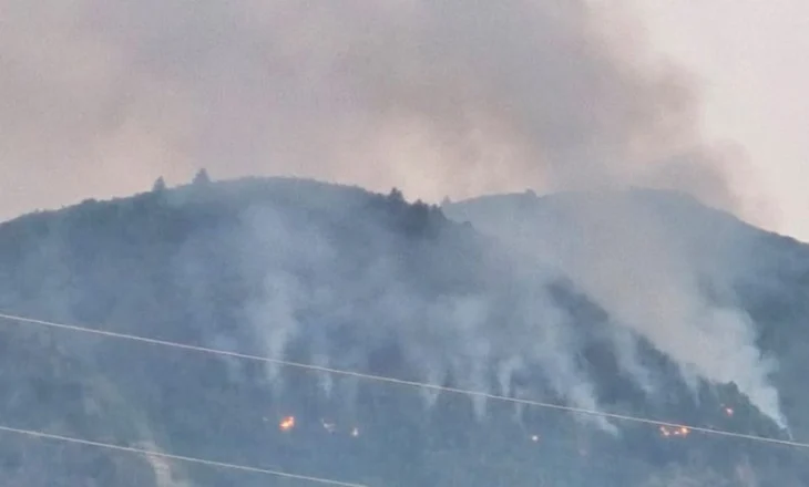 Neutralizohen vatrat e zjarrit në qarkun e Korçës! Vijon monitorimi në Strelcë, Dishnicë-Barç dhe Lajthizë