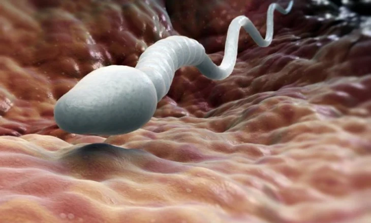 Ngrohja globale rrezikon prodhimin e spermës, ja çfarë thotë mjekja