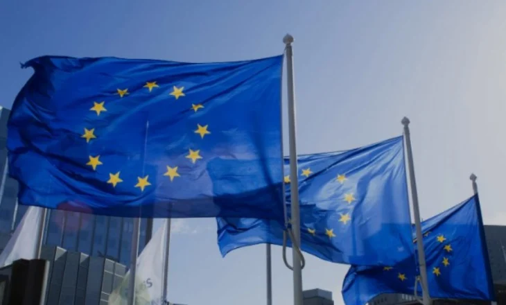Opsion kyç për buxhetin evropian, BE planifikon taksë për kompanitë me xhiro mbi 50 milionë euro