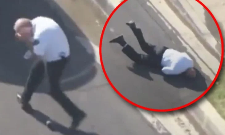 Panik në qytet! Tufa e bletëve sulmon kalimtarët, 24 të lënduar, tre prej tyre në gjendje kritike
