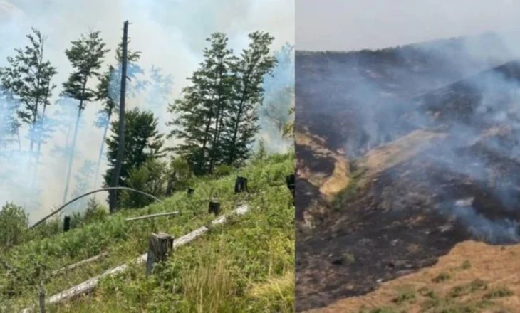 Parku i Lurës vijon nën flakë prej disa ditësh, vatra të reja zjarri edhe në Pogradec