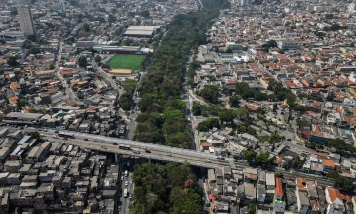 Për dy dekada ka mbjellë mbi 41 mijë pemë në parkun e Sao Paulos, historia domethënëse e Helio da Silvas