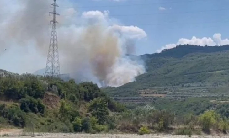 Përfshihet nga flakët mali Vlashaj në Bulqizë