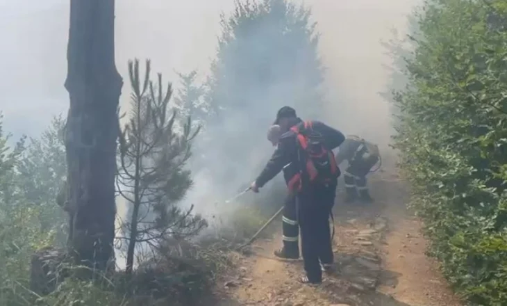 Përfshihet nga flakët masivi pyjore në Lurë të Dibrës, zjarri merr përmasa të mëdha! Pritet ndërhyrje nga ajri me helikopter