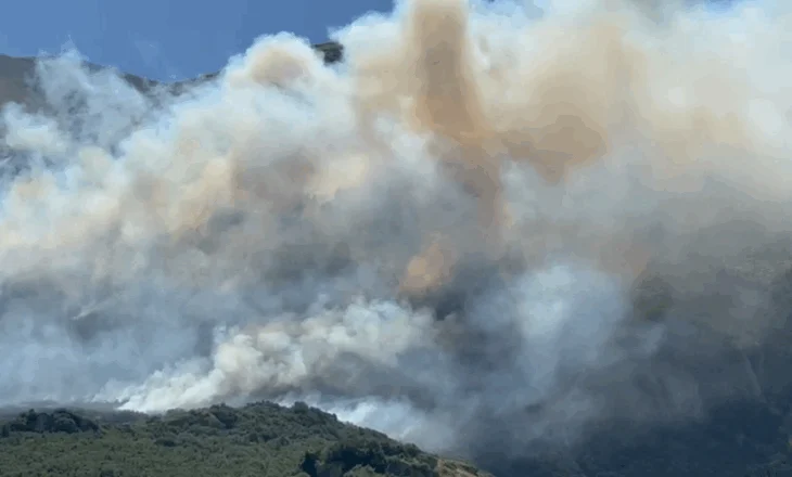 Përfshihet nga zjarri një sipërfaqe e mëdhe me bimësi në fshatin Sevaster në Vlorë, era favorizon flakët