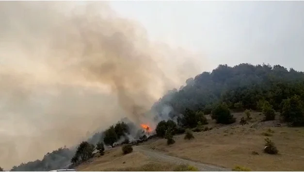 Përhapet zjarri në Sevaster të Vlorës, flakët afrohen pranë banesave