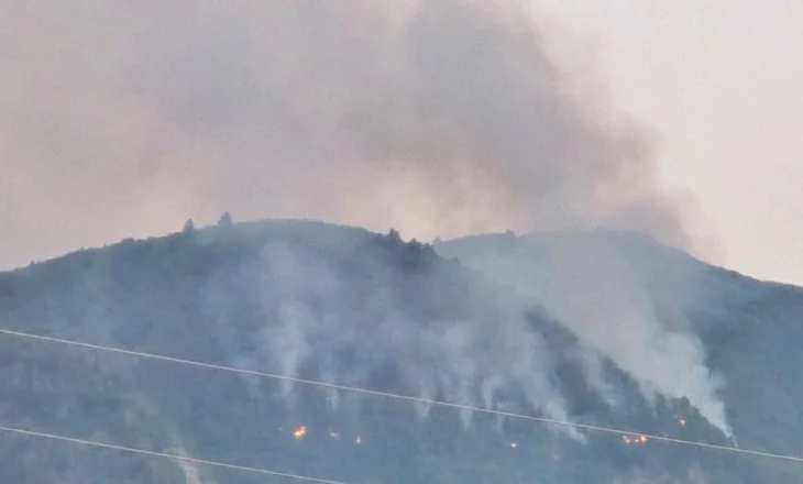 Përkeqësohet situata me zjarret në fshatin Dishnicë