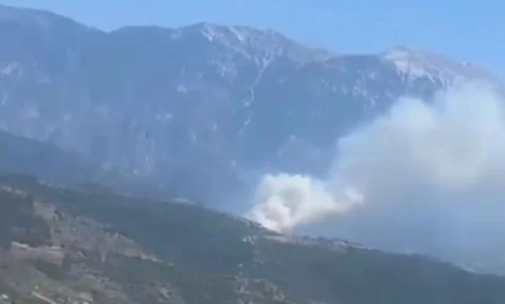 Poliçan, flakët përfshijnë pyllin në Lybeshë, ndërhyjnë forcat nga Berati dhe ushtria