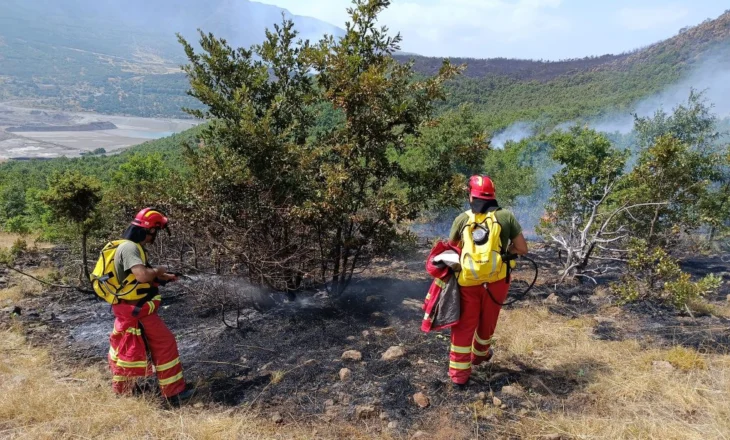 Policia: 12 shtetas të dyshuar si autorë të zjarrvënieve, të arrestuar apo të proceduar