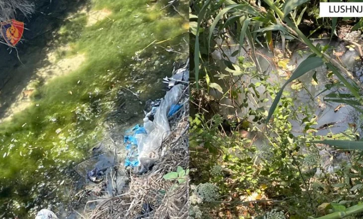 Procedohet pronari i fabrikës së peshkut/ Ndoti ujërat e kanalit kullues, shqetësim për banorët