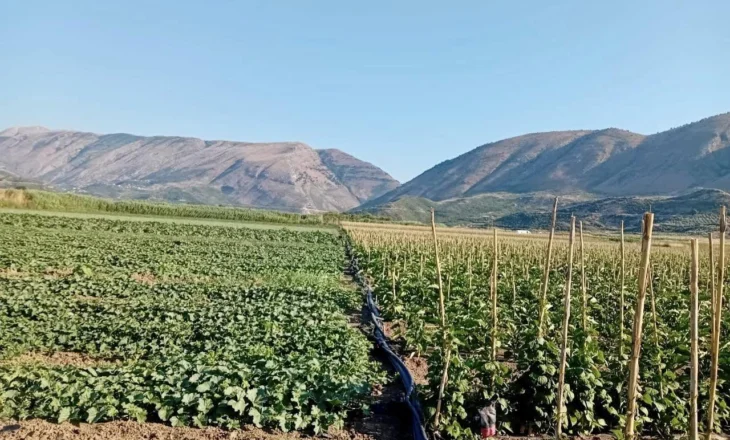 Prodhimi bujqësor, kostot