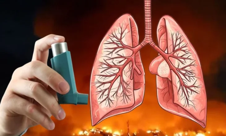 Qytetarët e Elbasanit padisin “Eco-Elb”, paditësja: Dua dëmshpërblim, jam e sëmurë!