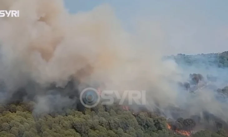 Riaktivizohet zjarri në masivin pyjor të Drenovës, ndërhyrja vështirësohet nga terreni i thyer