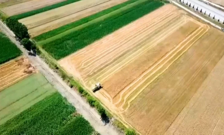Sa tokë punohet? 891 milionë lekë për censin e bujqësisë, gjoba kush s’përgjigjet