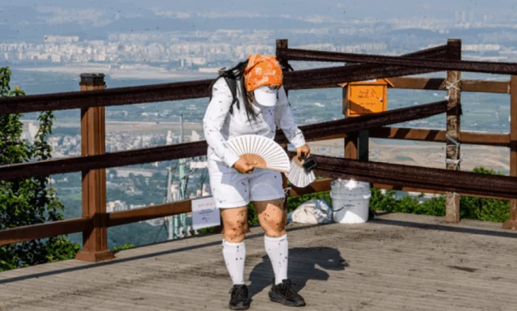 Seuli pushtohet nga ‘dashuria’ që askush nuk e do! Çfarë është ‘plecia nearctica’