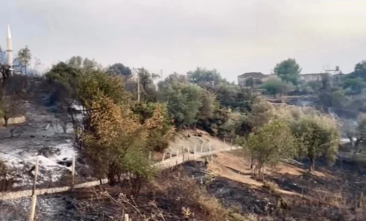 Shefi i Komisariatit Delvinë Agim Troci sakrifikon veten për të shpëtuar një fëmijë nga flakët