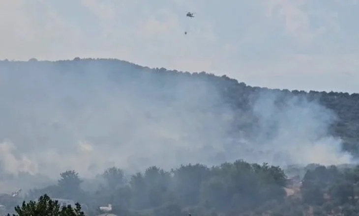 Shqipëria nën pushtetin e flakëve/ Situata del gjatë kontrollit në Drenovë dhe Dimal, zjarri rrezikon banesat