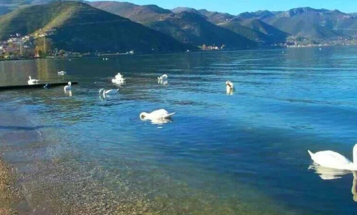 Shuplakë për qeverinë! Ndërtimet pa kriter, UNESCO shpall pasuri në rrezik liqenin e Ohrit