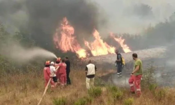 Situata alarmante në Delvinë/ Ministria e Mbrojtjes urdhëron evakuimin e tre fshatrave për shkak të zjarrit